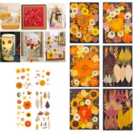 Flor Seca para moldes de Resina Juego de Flores y Hojas secas prensadas Naturales para Manualidades, álbumes de Recortes, Velas, joyería, Flores de Relleno de Resina