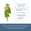 Eclectic Herb - Lymph & Blood Cleanse | Lymphatic &