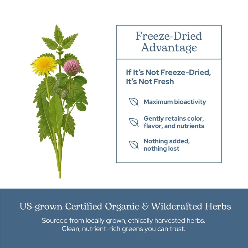 Eclectic Herb - Lymph & Blood Cleanse | Lymphatic &