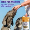 HOLI Freeze Dried Chicken Dog Treats - 100% All Natural