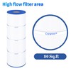 Cryspool Cryspool? 07069 Filter Compatible with Clean & Clear Plus