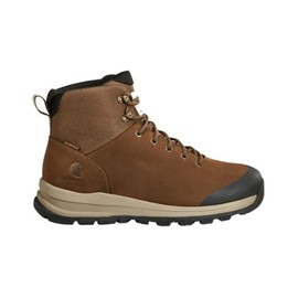 Carhartt Men's Outdoor WP 5" Alloy Toe Hiker Boot FH5520-M, Dark Brown, 10.5 W