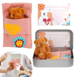 Little Pocket Bear Hug in a Tin Box Mini Stuffed Worry Bear Thinking of You Get Well Soon Key Chain Decoration Positive Christmas Birthday Gifts for Children Women Lover Friend Couple (Brown)