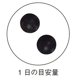 インシップ ギムネマ粒 250mg×60粒 30日分