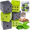 ARCHETYPE BRANDS Peppermint Oil to Repel Mice Dic