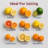 HIC Kitchen Citrus Juicer Reamer With Handle And Pour Spout,