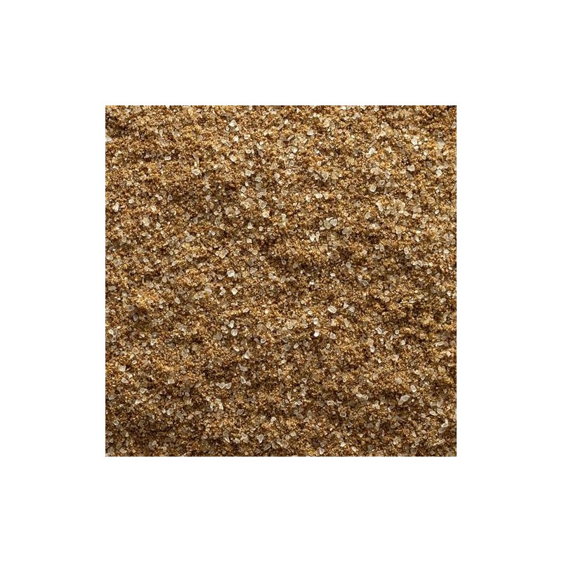 Frontier Co-op Organic Celery Salt 1lb