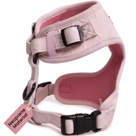 No-Pull, No-Choke Dog Harness & Leash Set – Stylish & Fun – Lightweight, Breathable Neoprene – Unique Heart Pattern (Pink, Blue, Green, Black) – Adjustable for Extra Small to Medium Dogs (Black, M)
