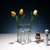 Dinyeo Hinged Flower Vase Small Tiny Glass Foldable Test Tube
