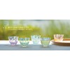 Tsugaru biidoro Calves gurasu 冷茶 Glasses 170ml Sakura f71791