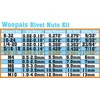 100pcs Carbon Steel SAE 3/8-16 Rivet Nuts Threaded Rivet Insert