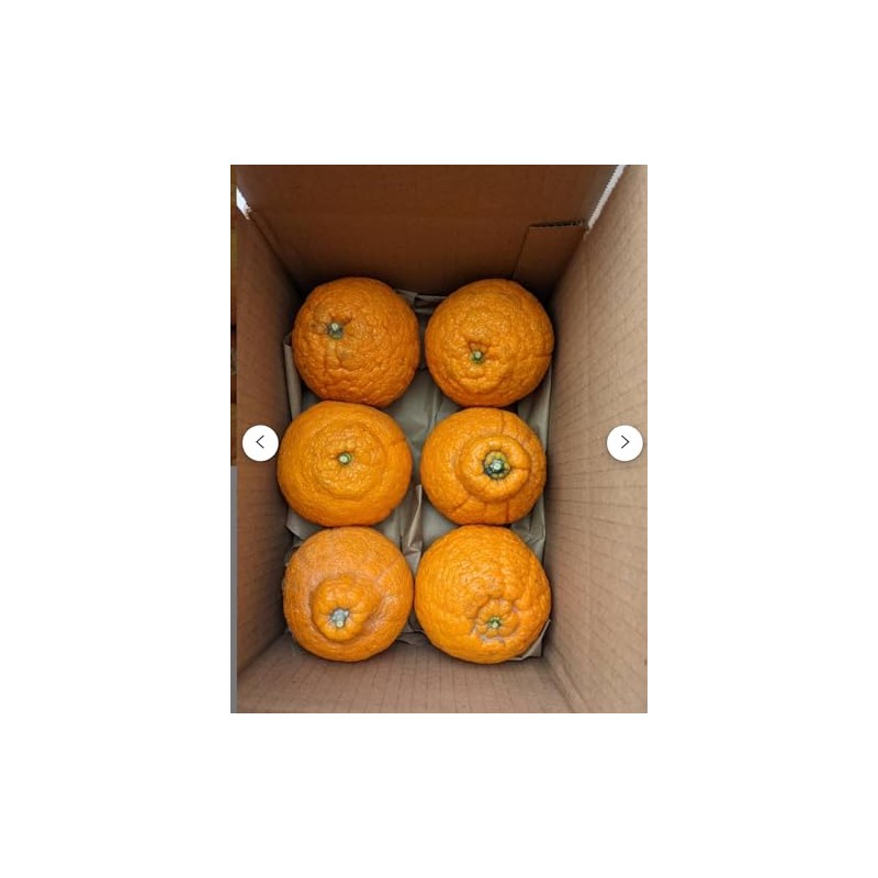 Sumo Mandarin Oranges, comes with 4lbs of the fruits