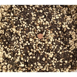 Generic 2.5 Quarts Premium Mixed Acid Loving Plants, Azalea Bonsai Soil with Japanese Kanuma, Mycorrhizae & Oak Leaf Mold - Medium Grain, AZAM2.5Q