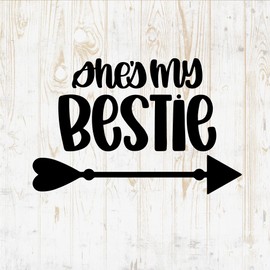 Friendship Quote Decals Sticker - Vinyl Decal for Wall Bottle Phone Car Home Bike Laptop Silhouette -Funny Quotes for Friends DWSV4484