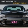 Pink Butterfly License Plate Decorative Metal Car Plate
