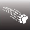 BOLDERGRAPHX 2048 Bear Claw Ripping Decal White Vinyl