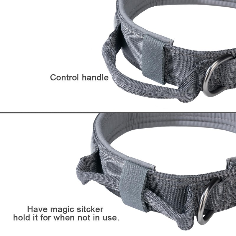 Excellent Elite Spanker Dog Collar, Training, Nylon Adjustable with Control