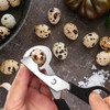 Adecco LLC Pigeon Quail Egg Cutter Scissors Stainless Steel Blades