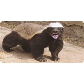 Honey Badger #1 Photo License Plate