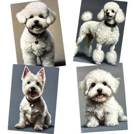 Poodle, Bichon, Maltese and Westie Note Cards Set (16 blank cards with envelopes, 4X6 Inch) cute dog stationery, thank you cards, smalls dog greeting cards