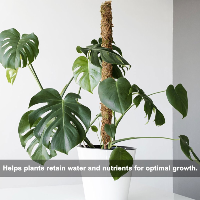 Moss Pole Coconut Stick DIY Modeling Plant Climbing Pole Climbing
