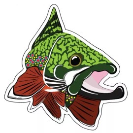 Mountain Creek Anglers BROOK TROUT Sticker Decal fly fishing Kype char 4" x 4 1/2" glossy weather proof