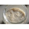 Good Gut Tribe - Fresh Sourdough Starters. Organic Certified. Vegan