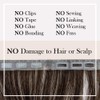 ZIPLOOKS | Ombréage Hair Extensions | Human Hair Extensions |