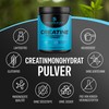 Natureletics 100% HIGHLY PURIFIED CREATINE PURE POWER MONOHYDRATE, 500G BIG