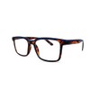 RS Eyeshop Readers RS7106 Tortoise Pattern With Blue Line- C2