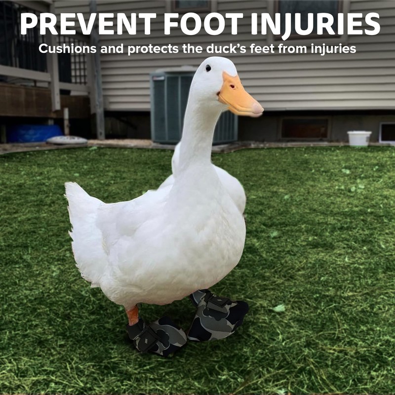 Birdy Bootie Duck Shoes for Injured Feet – Protective Neoprene