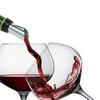 Juego de Vertedor de Vino de Plata Tableta para Verter