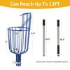 Oak Leaf Fruit Picker, 13 FT Picker Pole with Basket,