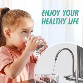 Fapully 3 in 1 Kitchen Faucet with Water Filler and Pull Down Sprayer,Brushed Nickel Commercial Kitchen Sink Faucet with Drinking Water Faucet