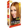 Xiomara Nutrint Tinte Cereza N666, 1 count, Pack of 1