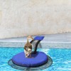 2 Packs Animal Rescue Escape Ramps for Swimming Pool Frog