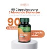 Vitamina D3 + K2 con Omega 3 - Apoyo Óseo,