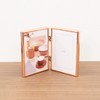 FUJICOLOR 507120 1513TL Photo Stand, Metal, Size L, Vertical, 2