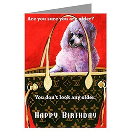 Twelve Notecards of Vintage Toy Poodle in a Hand Bag Painting Original Artwork By Philo Happy Birthday Boxed Set