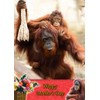 Orangutan Monkey Mothers Day Card