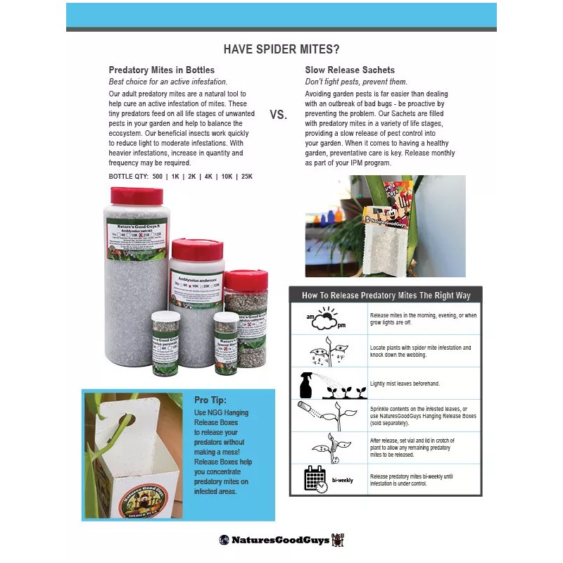 NaturesGoodGuys 25 Slow Release Sachets - Amblyseius Swirskii - Predatory