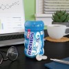 Mentos Pure Fresh Sugar-Free Chewing Gum with Xylitol,Fresh Mint,Pack of