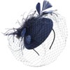 DRESHOW Fascinator Hats Cocktail Tea Party Bow Hat Netted Pillbox