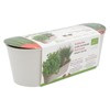 Buzzy® Herb Garden Cultivation Set - Chives - Leaf Coriander