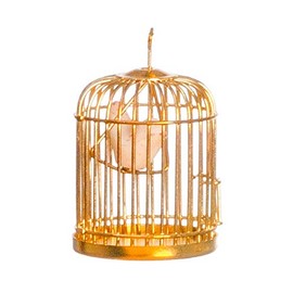 Puppenhaus Miniatur 1:12 Haustier Zubehör Vogel in Käfig Vogelkäfig