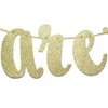 We Are One with Crown Gold Glitter Banner for Twins'
