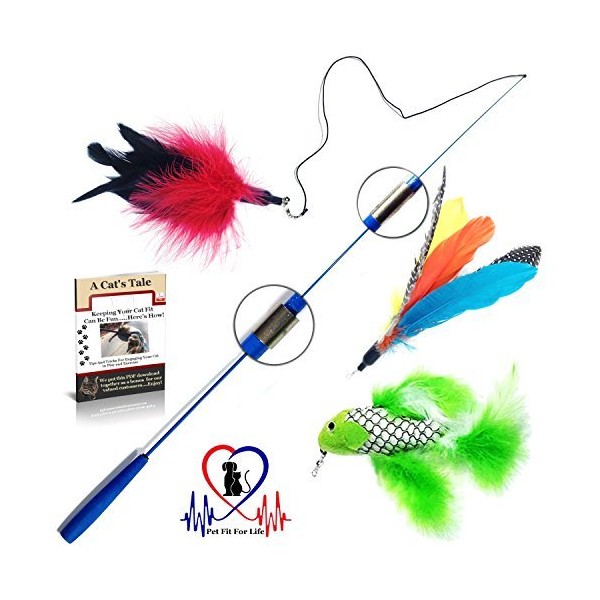 Pet Fit For Life Retractable Interactive Cat or Kitten Wand