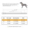 Didog Dog Collar with Soft Padding, Strong Dog Collars with