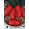 Salerno Seeds San Marzano 2 D.O.P Pomodoro Heirloom (INDET) Tomato 3 Grams Made in Italy Non-GMO