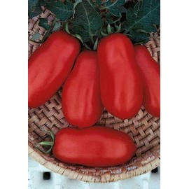 Salerno Seeds San Marzano 2 D.O.P Pomodoro Heirloom (INDET) Tomato 3 Grams Made in Italy Non-GMO